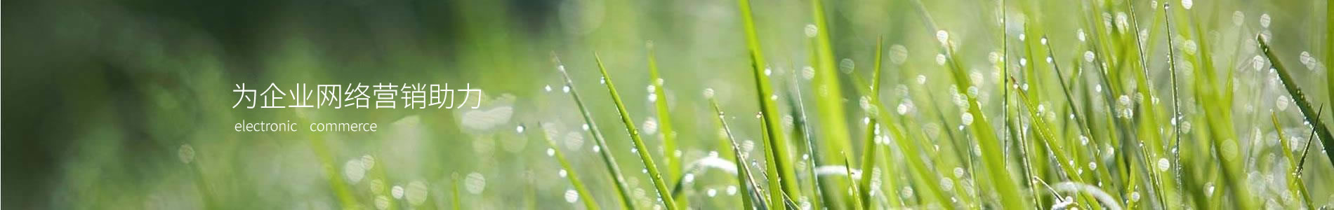 ӱǿص豸޹˾